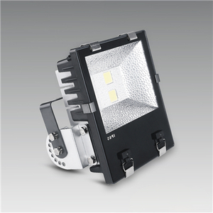 LED Flood light HL16FF04-70W