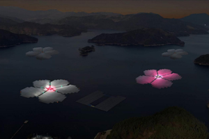 鸿麟--韩国湖面上的太阳能发电站亮化