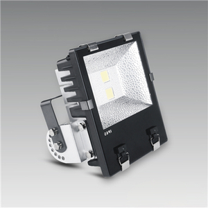 LED Flood light HL16FF03-50W