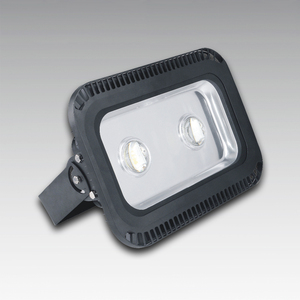 LED Flood light HL16FG02-100W