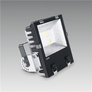 LED Flood light HL16FF05-100W